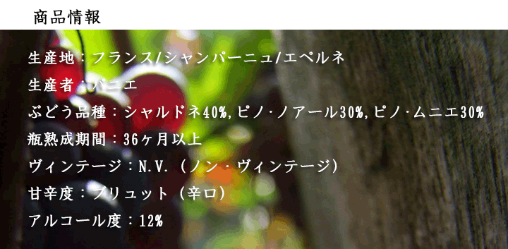 パニエNVブリュI/酒の瀧澤
