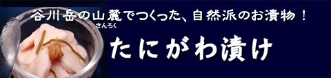 たにがわ漬け/谷川岳の山麓でつくった自然派のおつけもの！-瀧澤